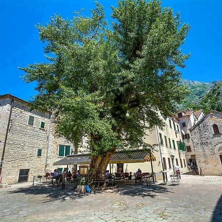 Tajami Apartments Kotor Kültér fotó