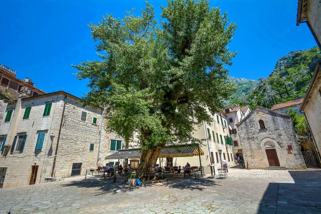 Tajami Apartments Kotor Kültér fotó